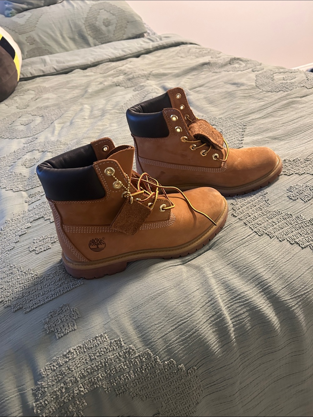 Timberland Wheat Nubuck 6-Inch Lace-Up Boots with Black Collar